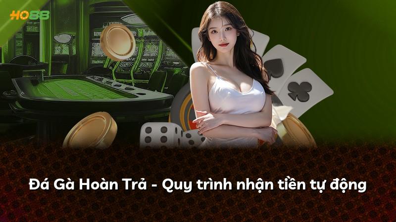 Đá Gà Hoàn Trả - Quy trình nhận tiền tự động